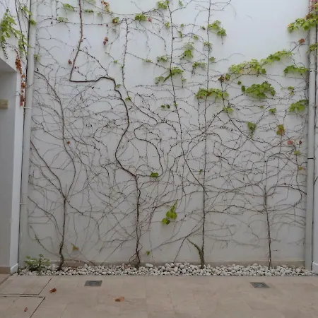 A Dos Pasos De Todo דירה מאלגה